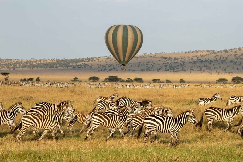  balloon safari through Nature Protector Adventures