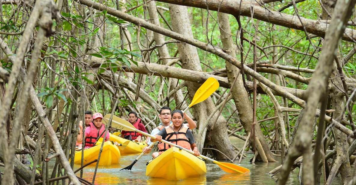 Zanzibar Mangrove Kayaking with Nature Protector Adventures