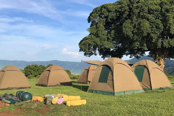 Simba Campsite - Ngorongoro