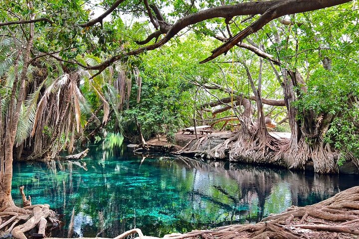 Kikuletwa Hot Springs with Nature Protector Adventures