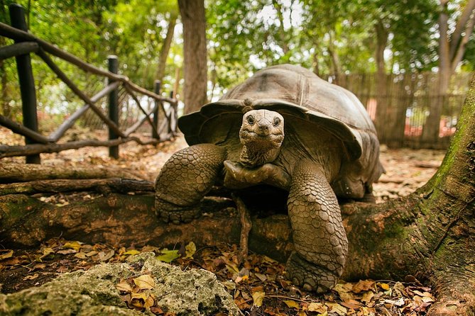 Prison Island Tour with Nature Protector Adventures